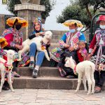 الهام اعلمی ال اقا، راهنمای گردشگری طبیعت و فرهنگی داخلی و خارجی