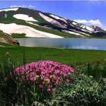 باقر محرمی راهنمای دالامپر ارومیه (آذربایجان غربی)