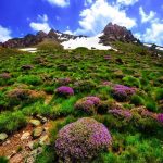 باقر محرمی راهنمای دالامپر ارومیه (آذربایجان غربی)