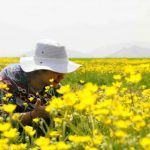 آذر صدرارحامی راهنمای گردشگری زبان اسپانیایی و انگلیسی در سائوپائولو برزیل