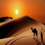 نیسان پارترول (آفرود گردی و شب نشینی )، کویر زیبای یزد