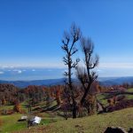 علی اسمدار راهنمای گردشگری تالش – بَلَد محلی لیسار گیلان