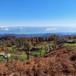 علی اسمدار راهنمای گردشگری تالش – بَلَد محلی لیسار گیلان