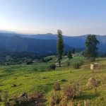 علی اسمدار راهنمای گردشگری تالش – بَلَد محلی لیسار گیلان