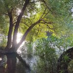 کیوان جمشیدی, راهنمای طبیعتگردی مهاباد و جنوب استان آذربایجان غربی