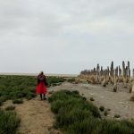 آیتک قاسمی، راهنمای گردشگری محلی گرگان