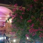 بومگردی سرای کهن در شهر یزد