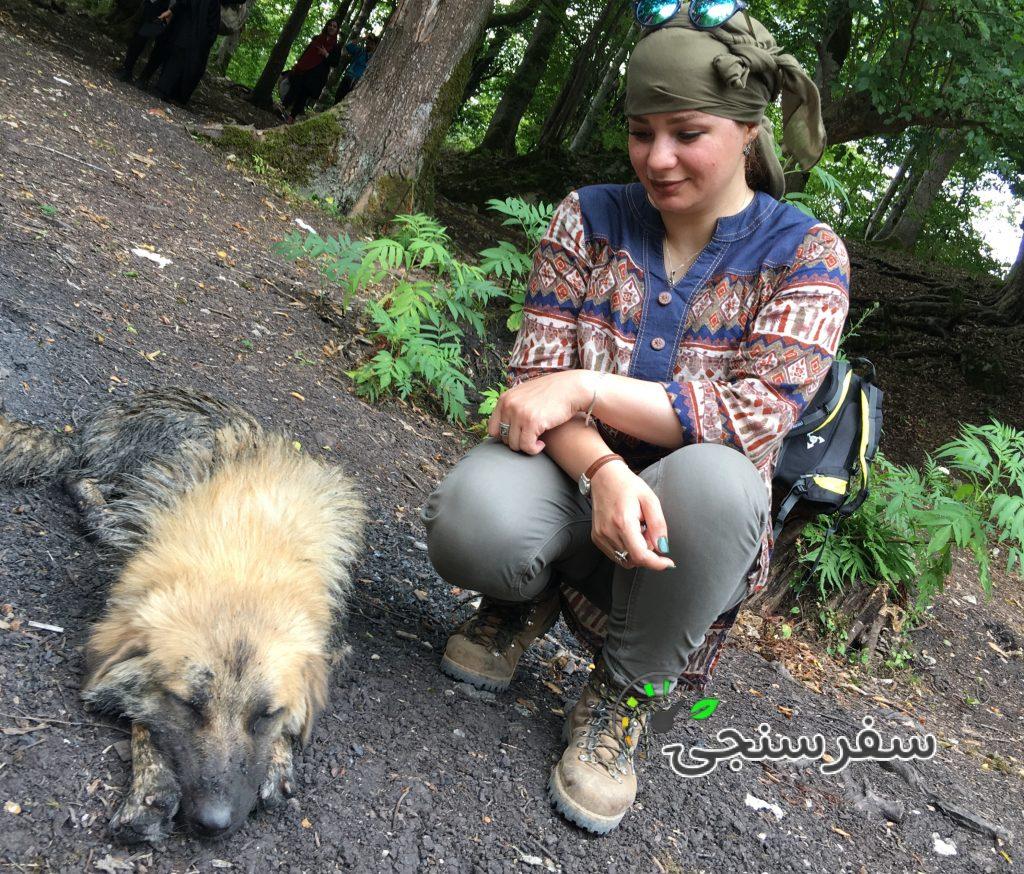 سوسن حسین پور، اسیست کمک راهنمای گردشگری طبیعت گردی درتهران