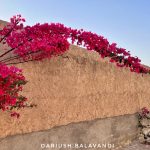 تور بندر خمیر به بندر کُنگ -چهار روزه – داریوش بالاوندی