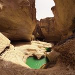 راهنمای طبیعتگردی و آفرود / عکاسی و تصویربرداری هوایی – محسن محمدی