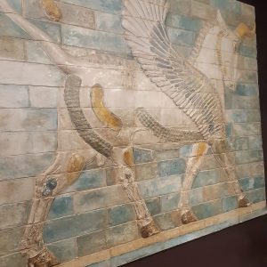 راهنمای تور فرانسوی و فارسی زبان، غزاله زرین در سفرسنجی