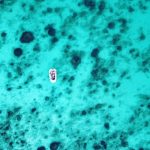 تور جزایر لاوان، مارو، هندورابی، ساحل مکسر از اصفهان