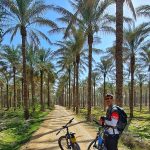 تور بوشهر(از آبپخش تا بوشهر) ویژه نوروز – فروردین 1402