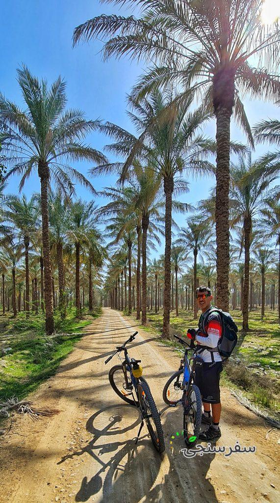 تور بوشهر(از آبپخش تا بوشهر) ویژه نوروز – فروردین 1402