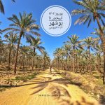 تور بوشهر(از آبپخش تا بوشهر) ویژه نوروز – فروردین 1402