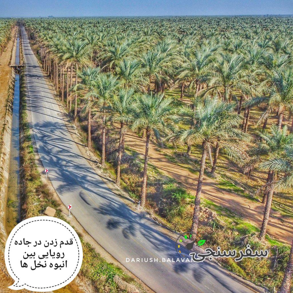 تور بوشهر(از آبپخش تا بوشهر) ویژه نوروز – فروردین 1402