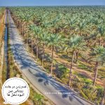 تور بوشهر(از آبپخش تا بوشهر) ویژه نوروز – فروردین 1402