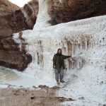 مهناز محبت روان راهنمای گردشگری در سفرسنجی