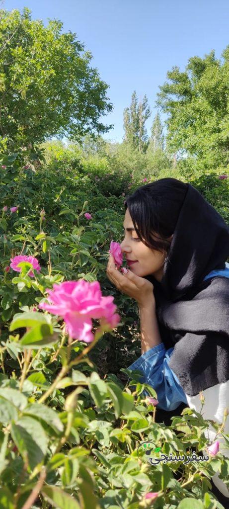 راهنمای گردشگری فرهنگی بین المللی در تهران- ندا سیل پور