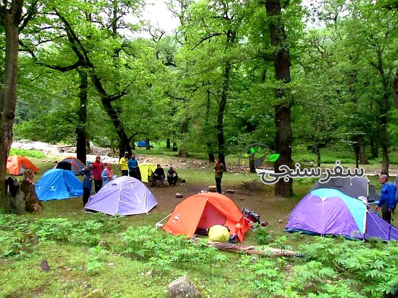 تور یکروزه جنگل کارا، راهنما فاطمه قزاقی