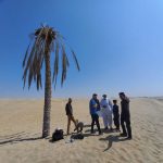 مستندسازی و تولید محتوای گردشگری و سفر – ایمان رنجبر