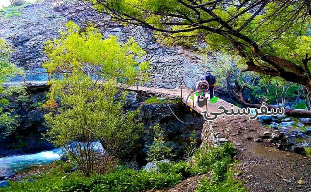 تور یکروزه جنگل کارا، راهنما فاطمه قزاقی