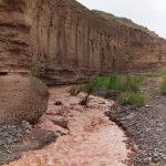 تور دره راگه رفسنجان – جمعه ها – از سیرجان – راهنما غلامرضا حافظی