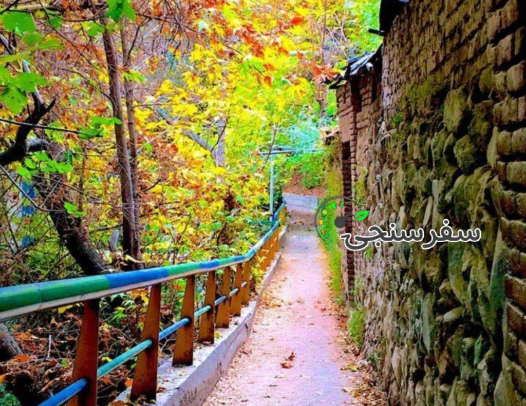 تور یکروزه جنگل کارا، راهنما فاطمه قزاقی