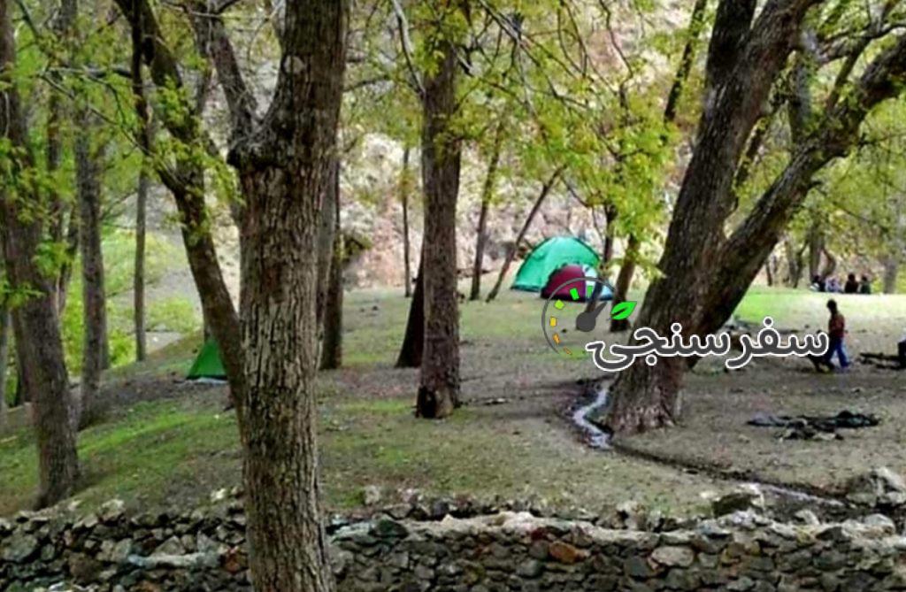 تور یکروزه جنگل کارا، راهنما فاطمه قزاقی