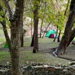 تور یکروزه جنگل کارا، راهنما فاطمه قزاقی