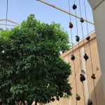 اقامتگاه بوم گردی اوروزا یزد