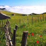 تور ۲/۵ روزه سوباتان سارا حقیقی از تهران