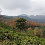 آدینه پورذکریا راهنمای گردشگری کوهستان در گیلان