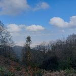 آدینه پورذکریا راهنمای گردشگری کوهستان در گیلان