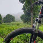 آدینه پورذکریا راهنمای گردشگری دوچرخه در گیلان