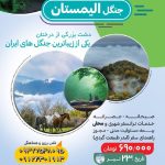 تور یک روزه جنگل الیمستان (جمعه 23 تیر) رسول حسنی