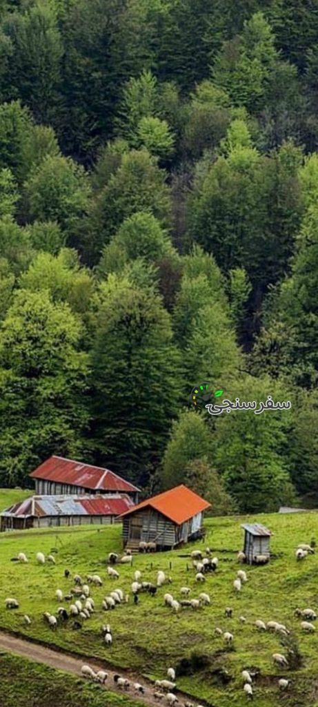 تور 4/5 روزه گیلان گردی