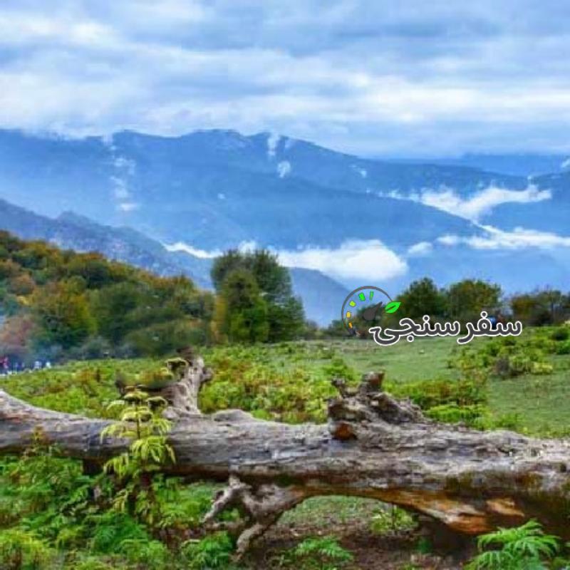 تور یک روزه جنگل الیمستان (جمعه 23 تیر) رسول حسنی
