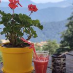 محمد محمدپور راهنمای طبیعت گردی و درایور گاید در اردبیل