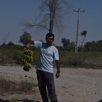 راهنما راننده سفر به تمامی نقاط ایران با خودرو سمند – علی ستوده