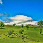 تور یک روزه فیلبند و دشت سنگچال