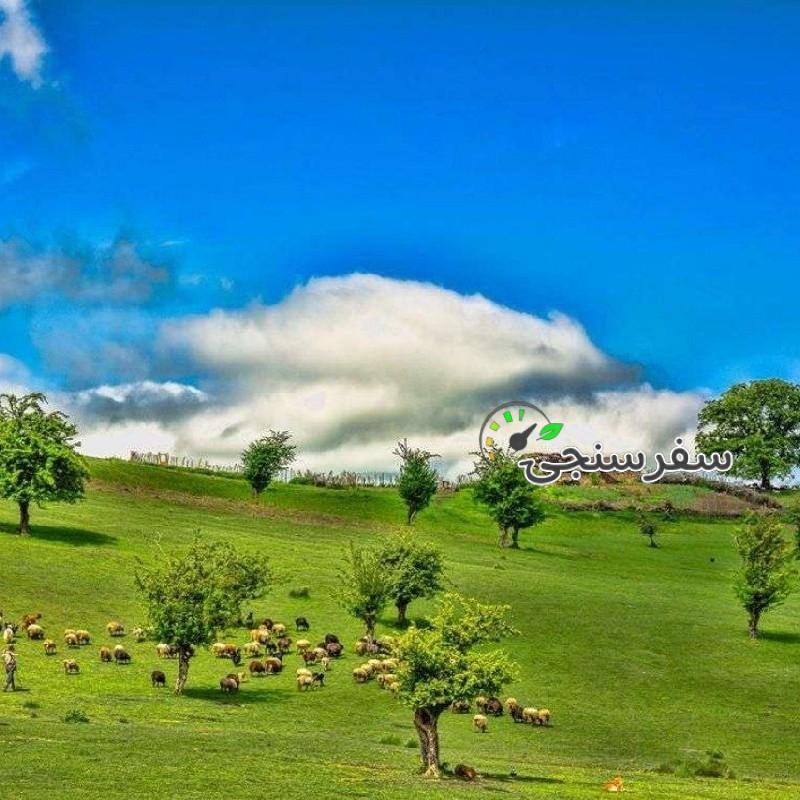 تور یک روزه فیلبند و دشت سنگچال