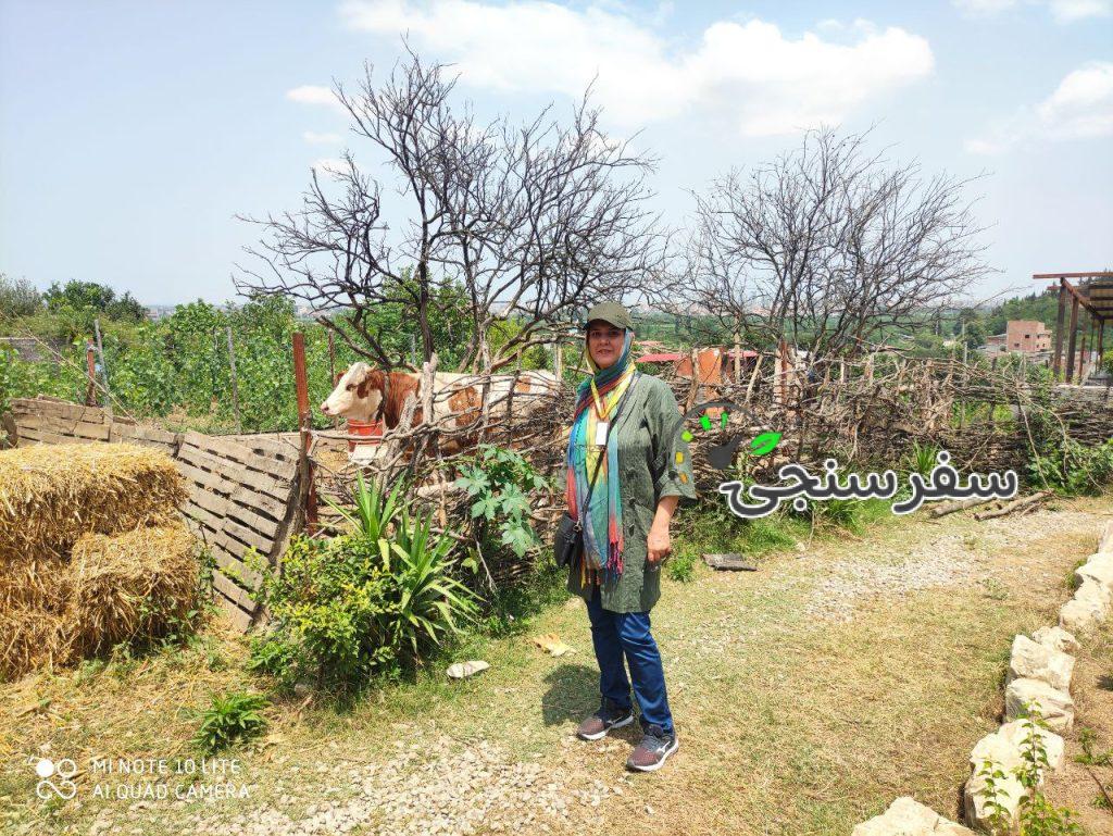 بهاره حسین زاده فراحمی راهنمای گردشگری فرهنگی در مازندران