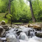 وریا ارم اجرای تور طبیتگردی آبشار کوهمیان آزادشهر