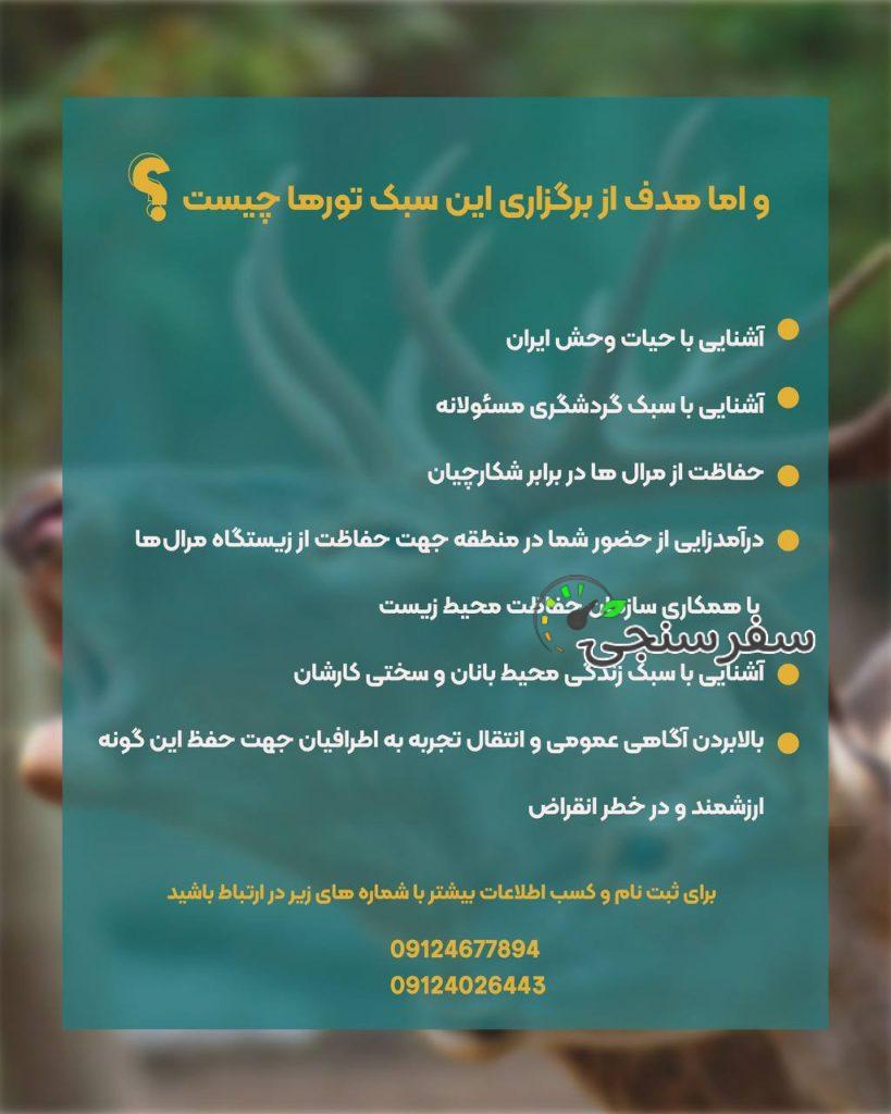 تجربه گاوبانگی در دل جنگلهای هیرکانی تور حیات وحش