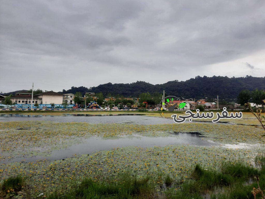 مریم درخشان راهنمای گردشگری در مازندران