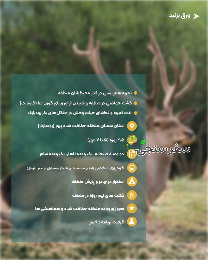 تجربه گاوبانگی در دل جنگلهای هیرکانی تور حیات وحش