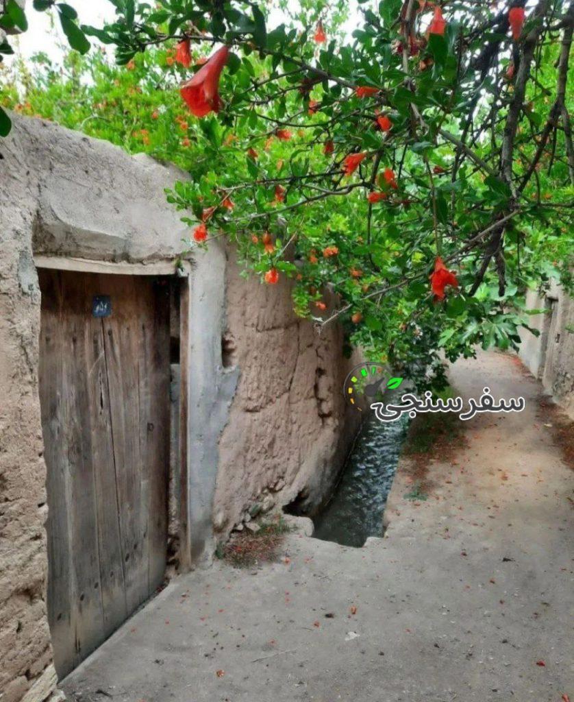 تور یزد از شیراز