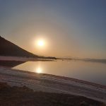 سجاد زارع راهنمای گردشگری فرهنگی در شیراز