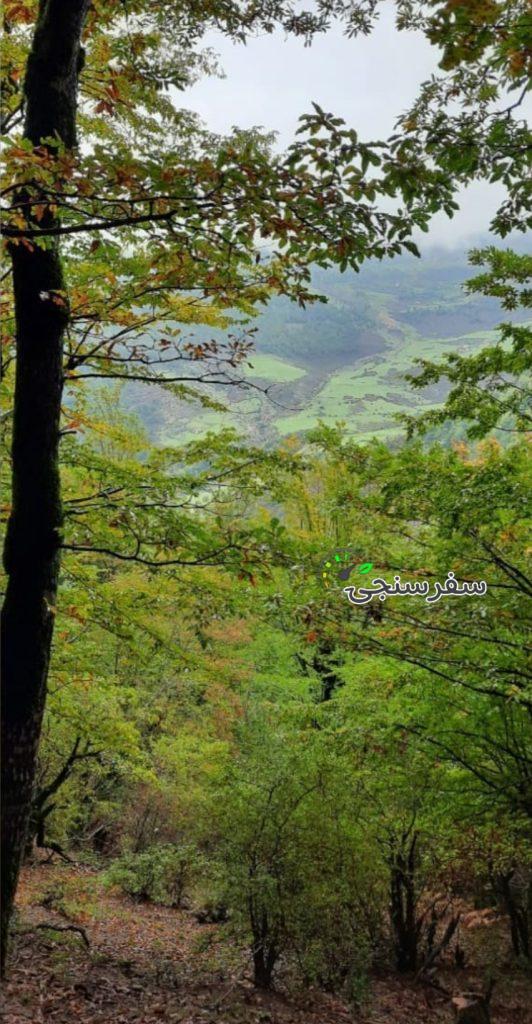 مهدی کرمعلی کمپینگ پاییزی جنگل های هیرکانی